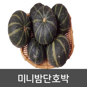 약수농장 미니밤호박 2kg 1박스 2kg