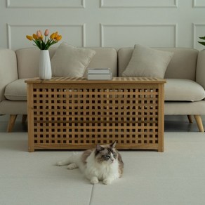 윈썸 고양이 스크래쳐 매트 거실 층간 소음 우다다 폴딩 매트 140 x 250, 1개, 아메리칸 쇼트 블랙