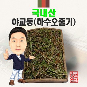 국내산 야교등(하수오줄기) 300g/100g (경북영천) 수오등 구진등, 100g