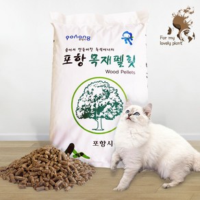 햄스터 목재펠릿, 20kg, 1개