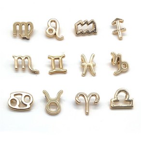 12 pcs zodiac sign 12 별자리 펜던트 혼합 라운드 럭키 매력 DIY 팔찌 목걸이 귀걸이 보석 제조