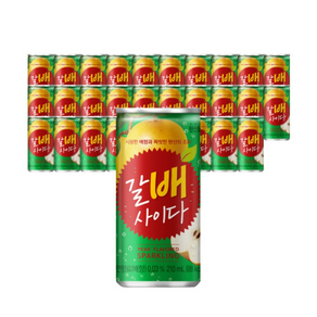 갈배사이다, 210ml, 30개