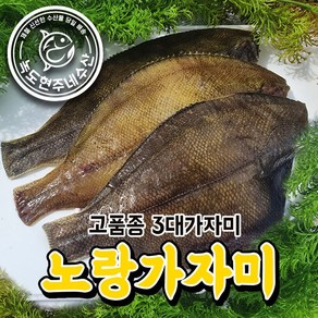 녹도현주네 노랑가자미 반건조 가자미 특대 손질크기20cm내외 / 10미 고객감사 쎄일중, 손질크기 20cm 내외, 1세트