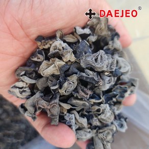 건조 한잎 목이버섯1kg 건목이버섯 단목이버섯, 1개, 1kg