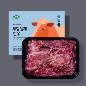 베리네이처 무항생제 한우 설도 불고기 소고기 300g 1등급 [냉장], 3. 설도 불고기300g(육전용), 1개