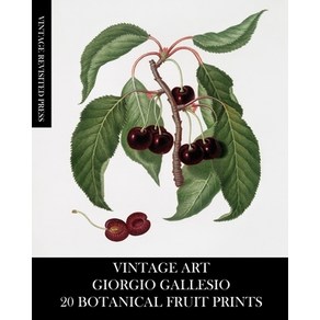 (영문도서) Vintage At: Giogio Gallesio 20 Botanical Fuit Pints Papeback, Blub, English, 9781006605321