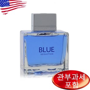 안토니오 반데라스 블루 시덕션 100ml 남성 상세설명