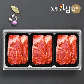 eTV [eTV]농협안심한우 등심 구이 선물세트 1.5kg, 1