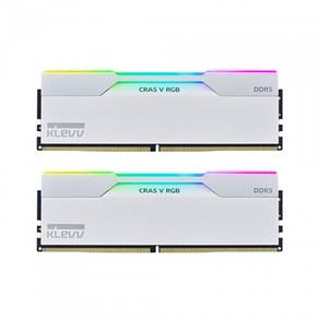 ESSENCORE KLEVV DDR5-6400 CL32 CRAS V RGB WHITE 패키지 서린 (32GB(16Gx2)), 2개