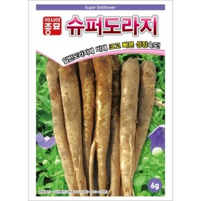 아시아종묘 씨앗 도라지 슈퍼도라지 6g