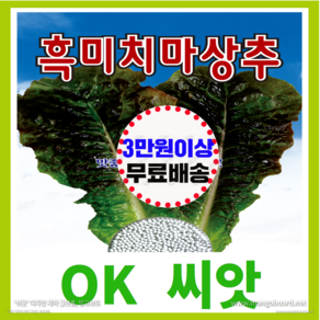 [OK씨앗] [흑미치마상추(봄 여름 가을)] 상추씨앗 종자(오케이씨앗), 1개