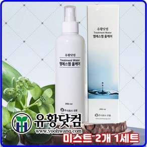 [유황닷컴] 올케어 트리트먼트워터 2개 1SET MSM워터 식이유황워터, 250ml