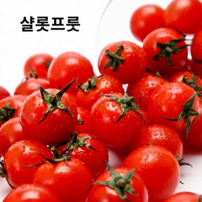 샬롯프룻 스테비아방울토마토 500g*2팩