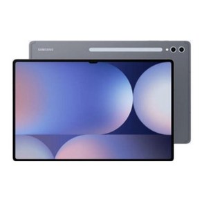 [삼성] 갤럭시탭 S10 Ulta SM-X920 (WiFi) 512GB 문스톤 그레이 SM-X920NZAEKOO, Wi-Fi