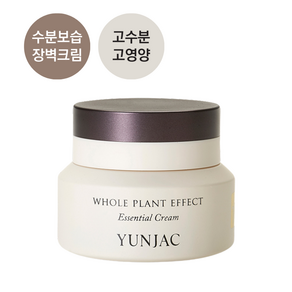 연작 전초 에센셜 수분 보습 장벽 크림 50ml, 1개