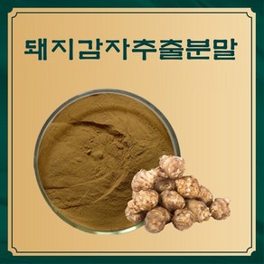 엔트코 돼지감자추출분말 1kg, 1개