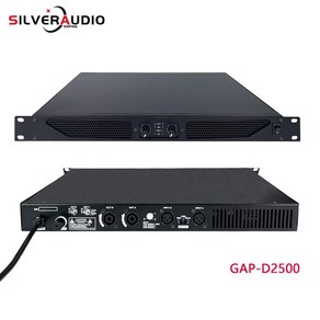 파워앰프 미니앰프 전문 무대용 DJ 앰프 GAP-D1000 전력 제품 5000W 2 채널 고출력 앰프, 02 GAP-D2500, 1개