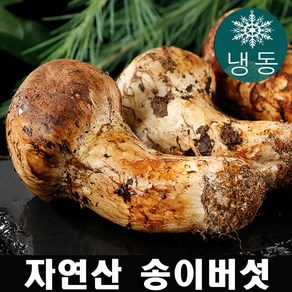 진심좋은 자연산 냉동 송이 버섯 자연 송이버섯, 특등급 500g, 1박스