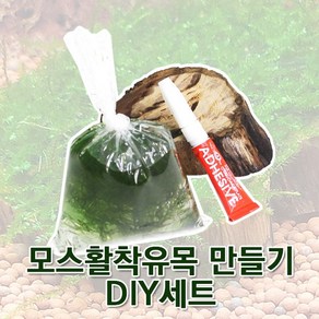 피알피쉬 모스활착유목 만들기 DIY세트, B세트, 1개