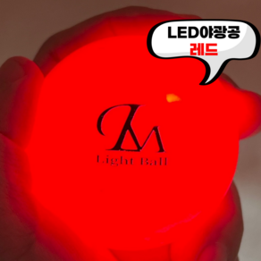 렌스메이트 야광 LED 파크골프공 형광 파크공 파크볼, 레드, 1개, 1개입