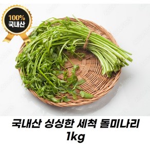 [국내산 / 산지직송] 싱싱하고 부드러운 국산 세척 돌미나리