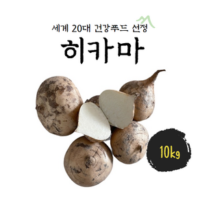 베트남 히카마 ( JICAMA ) 얌빈 YAM BEAN CU DAU 1박스 10 kg