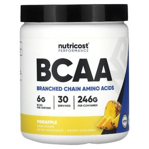 뉴트리코스트 운동능력 BCAA 파인애플 246g(8g씩 30회분) 헬스보충제