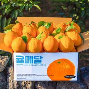 [당도선별] 제주 한라봉 14Bix 이상 특품, 1박스, 선물세트 2.5KG (대과)