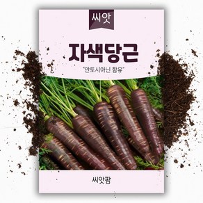 자색당근씨앗 (100립), 1개