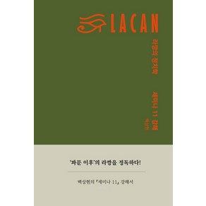 라깡의 정치학:세미나 11 강해