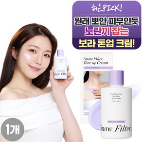 95프로블럼 스노우 필터 톤업크림, 1개, 210ml