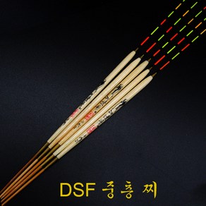 DSF 중층찌 민물찌 떡밥 붕어찌