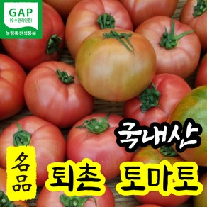 국산 꿀 퇴촌토마토 광주 찰 완숙 벌수정 2kg 당일수확 명품 프리미엄 퇴촌 토마토 달달한 설탕 2키로 속이 꽉 찬 고품질 산지직송, 2kg (소과), 1개