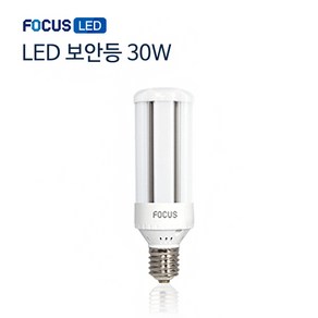 포커스 LED 보안등 파워램프 30W 투명, 1개, 주광색