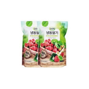 냉동딸기 2kg(1kgx2팩) 이집트산 뉴뜨레 무가당홀