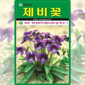 아람종묘 제비꽃 씨앗 500립 비올라 제비꽃씨 야생화 약초 종자