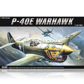 1/72 P-40E 워호크 WARHAWK, ACFA166, 1개