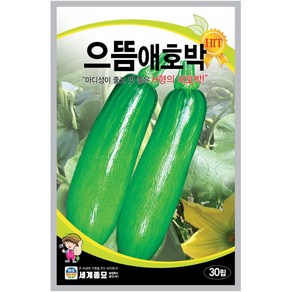 호박씨앗 풋호박 애호박 맷돌호박 미니 밤호박 호박씨 종자, 1개