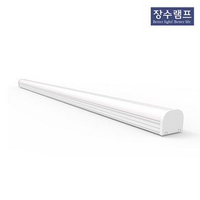 장수램프 LED 플리커프리 주차장등 DC타입 60W 1200mm, 주광색2개