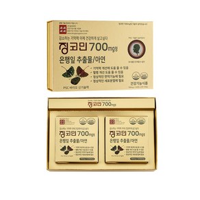 동방제약 징코민 700mg정 - 700mg x 120정 x 2개(168g), 2개, 0.7g