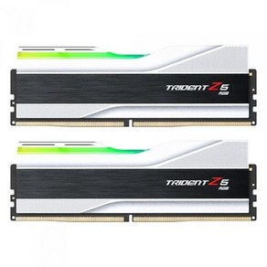 지스킬 DDR5-7200 CL34 TRIDENT Z5 RGB J 실버 32GB