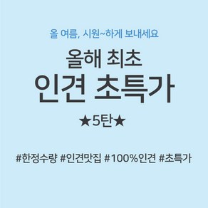 인견초특가 5탄 꼰사인견100% 인견 17종