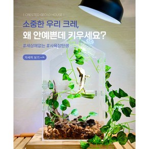 테이블펫 아크릴 사육장 (단품 세트) 크레스티드게코 도마뱀 파충류, 대형 단품, 1개