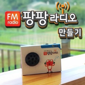 스쿠티 팡팡 FM 라디오 만들기, 1개