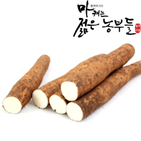 [영파머스몰]마캐는 젊은농부들 마 안동마 장마 참마 생마 햇마