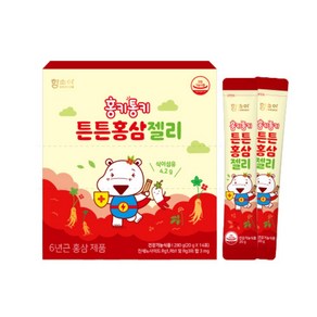 함소아 홍키통키 유아용 튼튼 홍삼젤리 30p