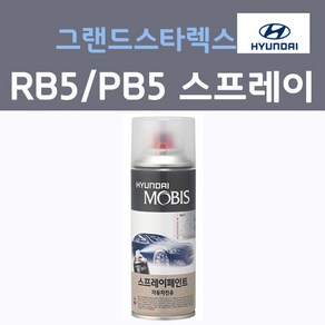 순정품 현대모비스 그랜드스타렉스 RB5 스프레이 붓펜 카페인트, 1개, 200ml