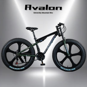 AVALON 팻바이크 풀샥 MTB 산악자전거 고출력 광폭 타이어, 26인치 스포크휠 x 21단, B.그린블랙, 1개