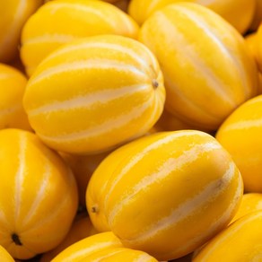 달콤한 향 가득한 참외, 1개, 혼합과 10kg