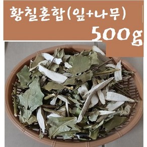 1형구매(황칠나무혼합500g(잎+가지)/삼계탕 첨가 인기품/인삼보다 더많은 사포닌함류 인삼나무인 황칠나무, 1개, 500g